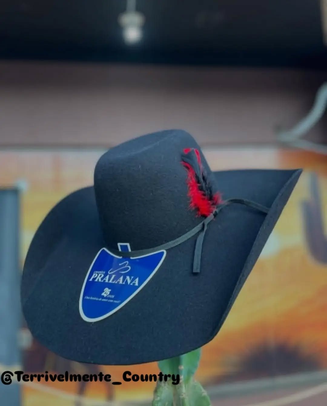 Chapéu cowboy preto com pena vermelha